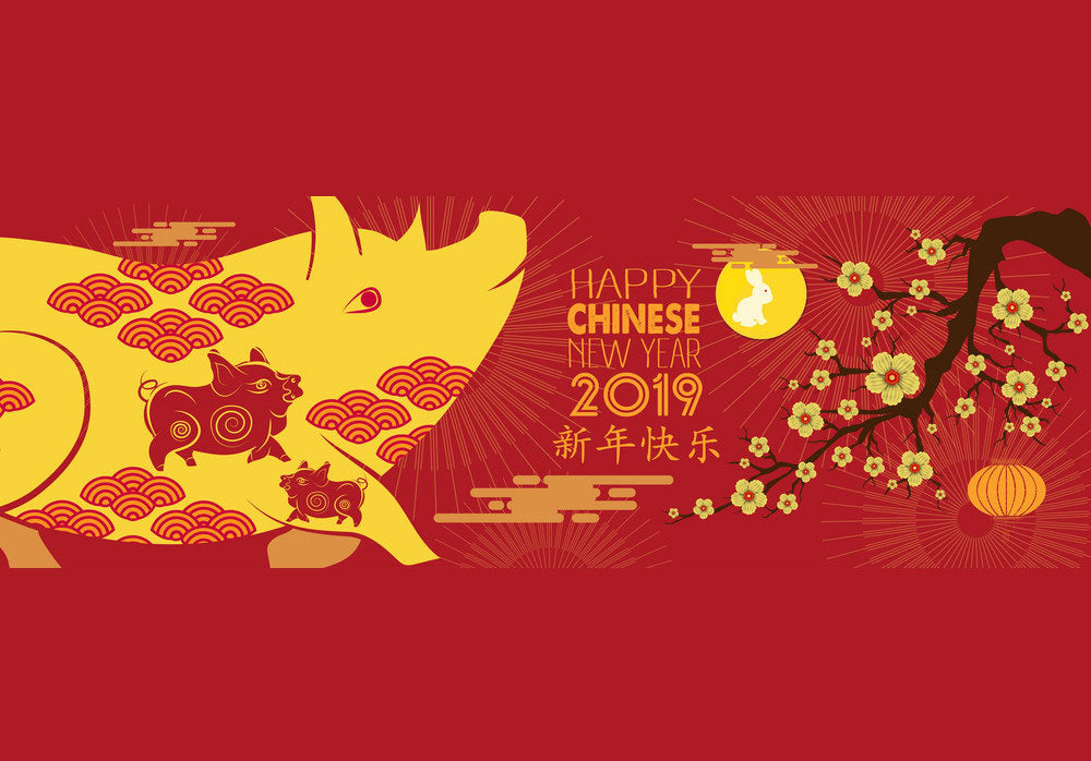 Nouvel An chinois : bienvenue à l'année du cochon